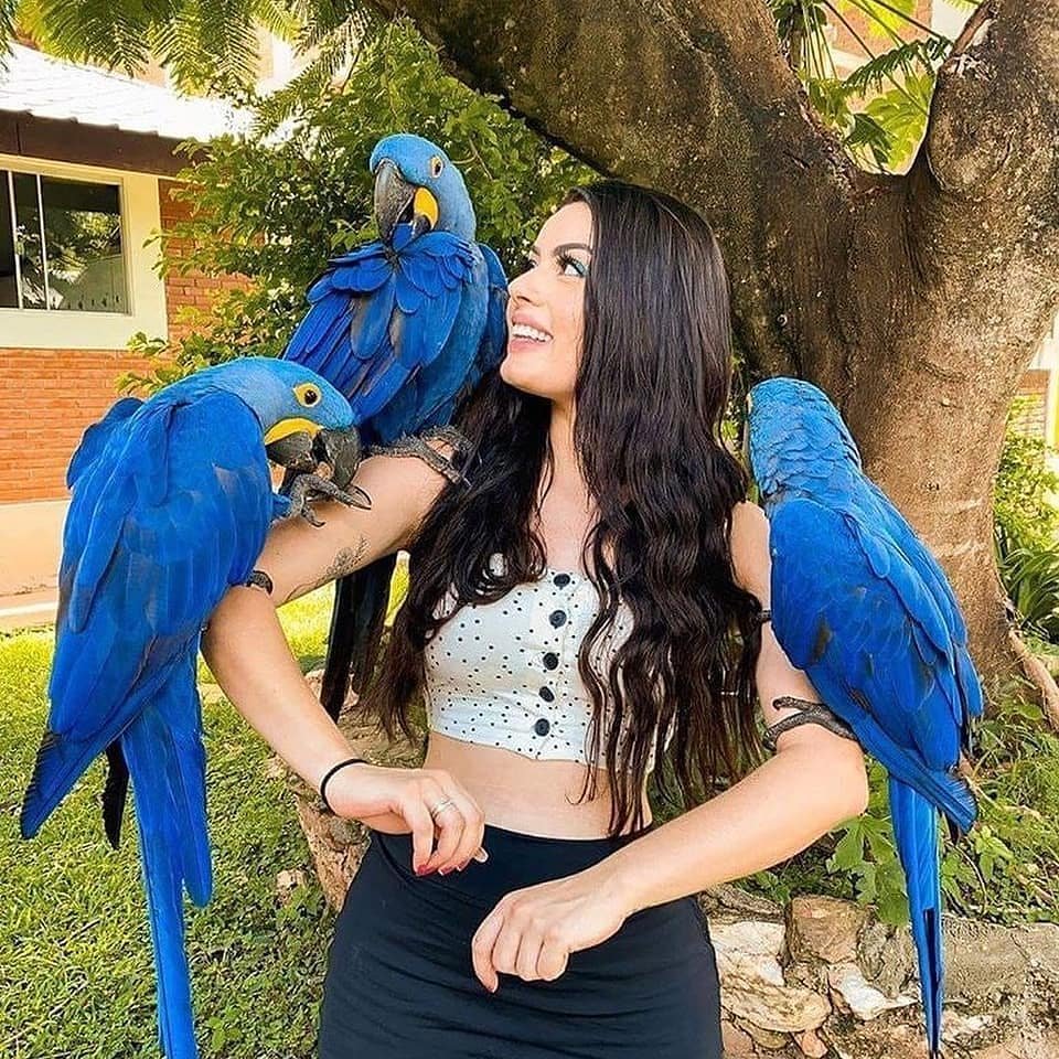 Meet the Team Behind MACAW PARROT FOR SALE HOME