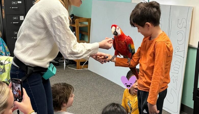 Should I buy a hand fed or parent raised macaw?