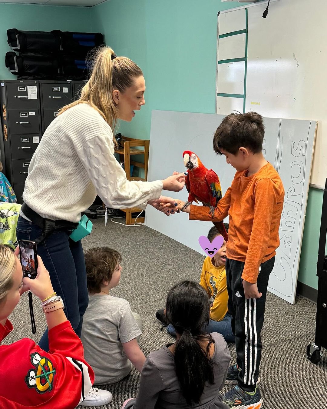 Should I buy a hand fed or parent raised macaw