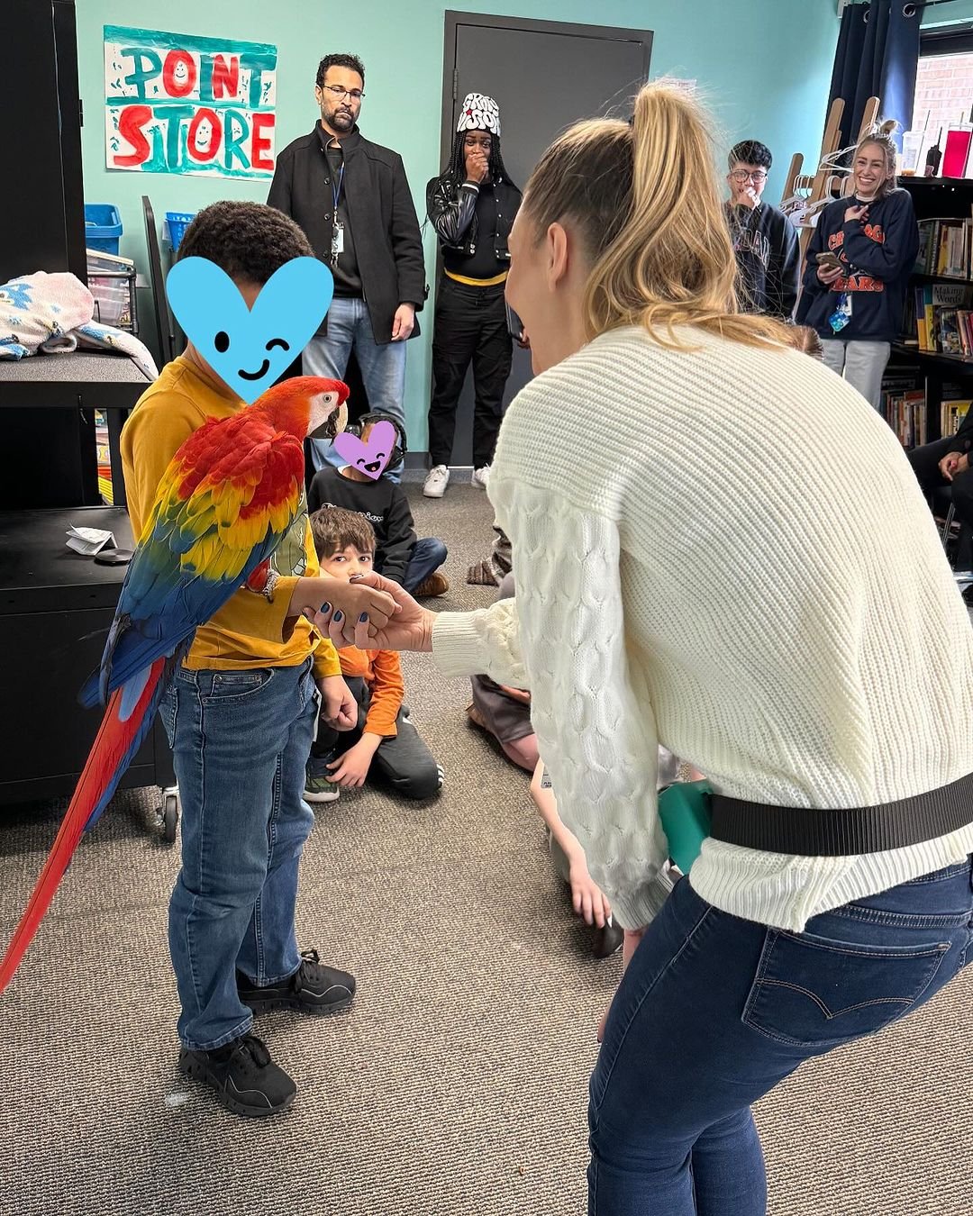 Do macaw parrots come with a health guarantee when purchased