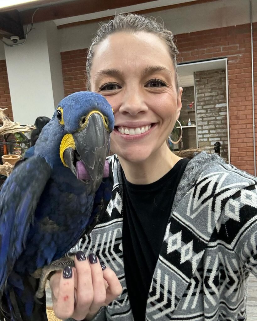 Lifetime Support for Macaw parrots owners