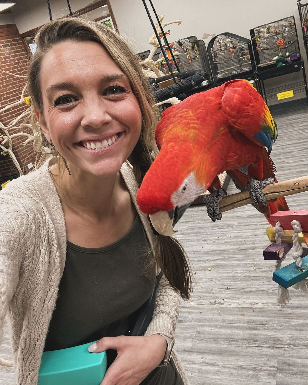 Do macaws get separation anxiety