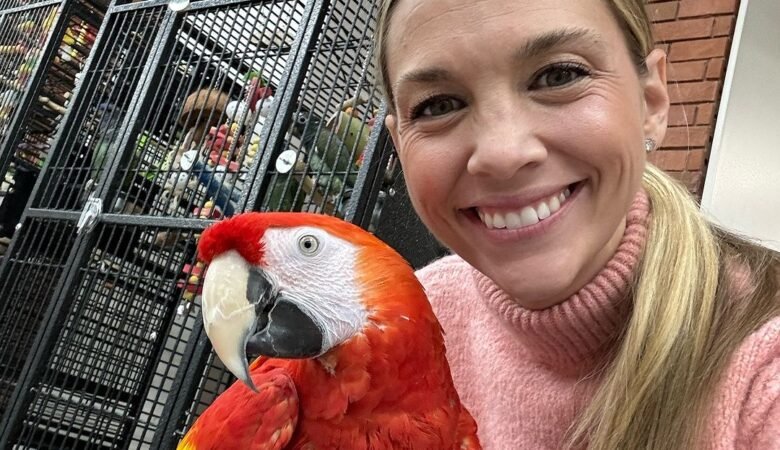 Can macaw learn tricks or commands?