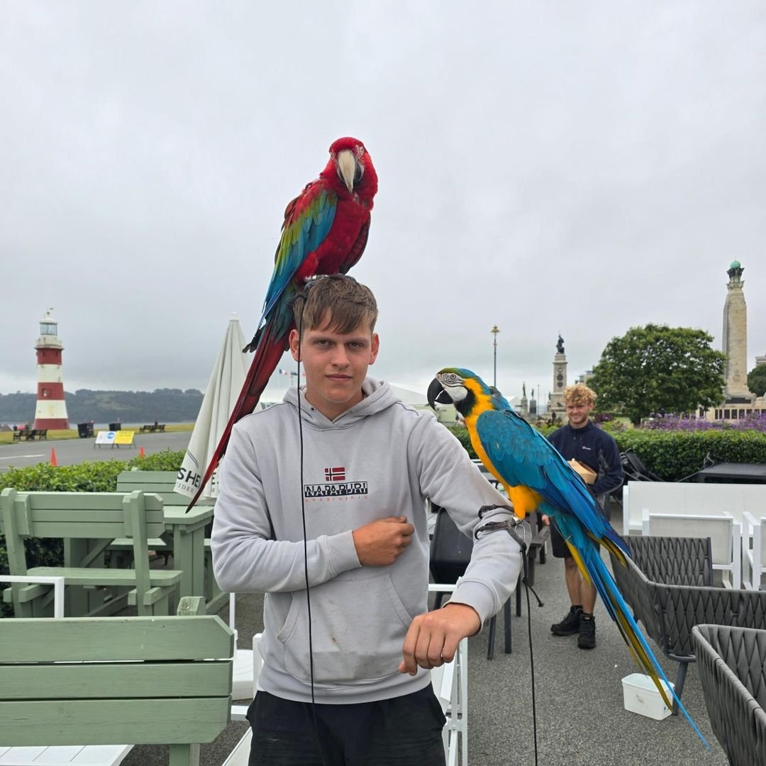 Lifetime Support for Macaw Owners